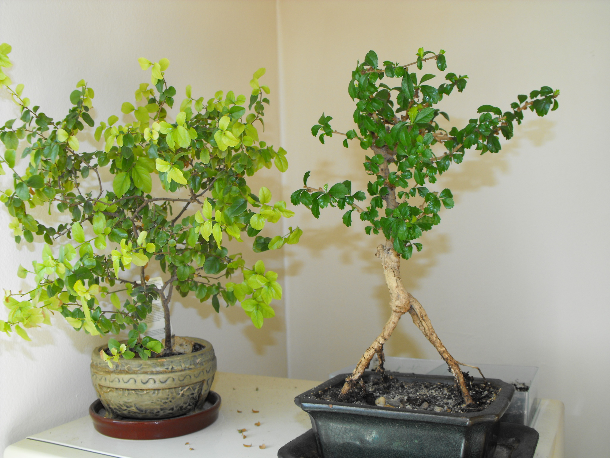 DSCF0874.JPG