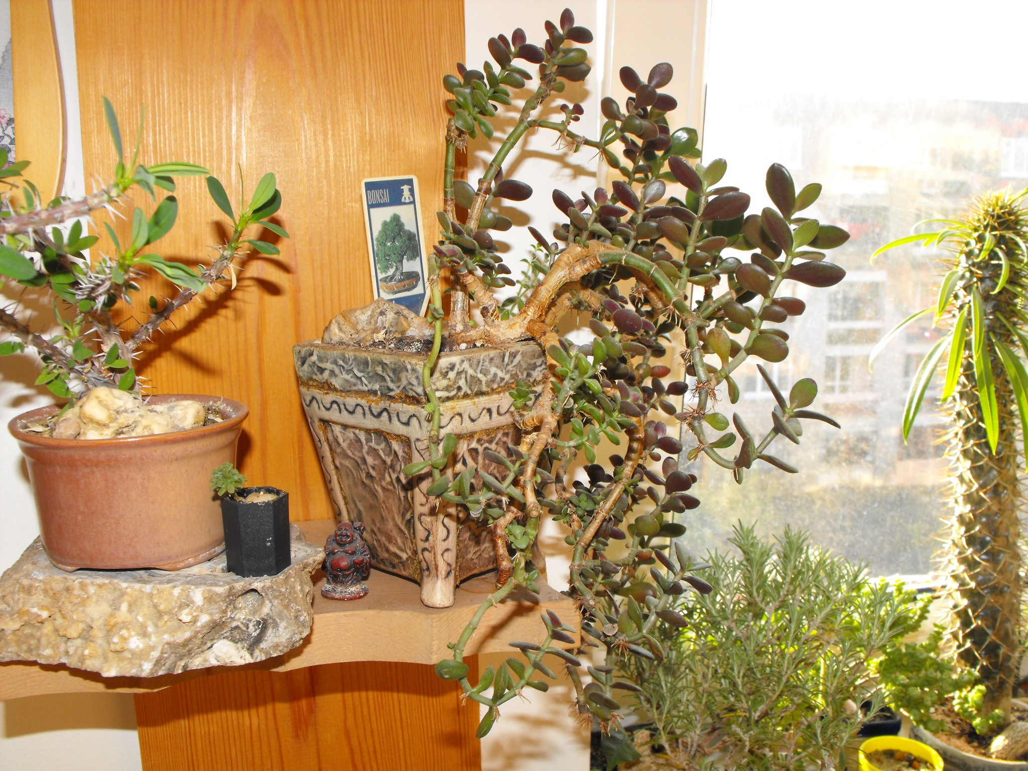 DSCF0879.JPG