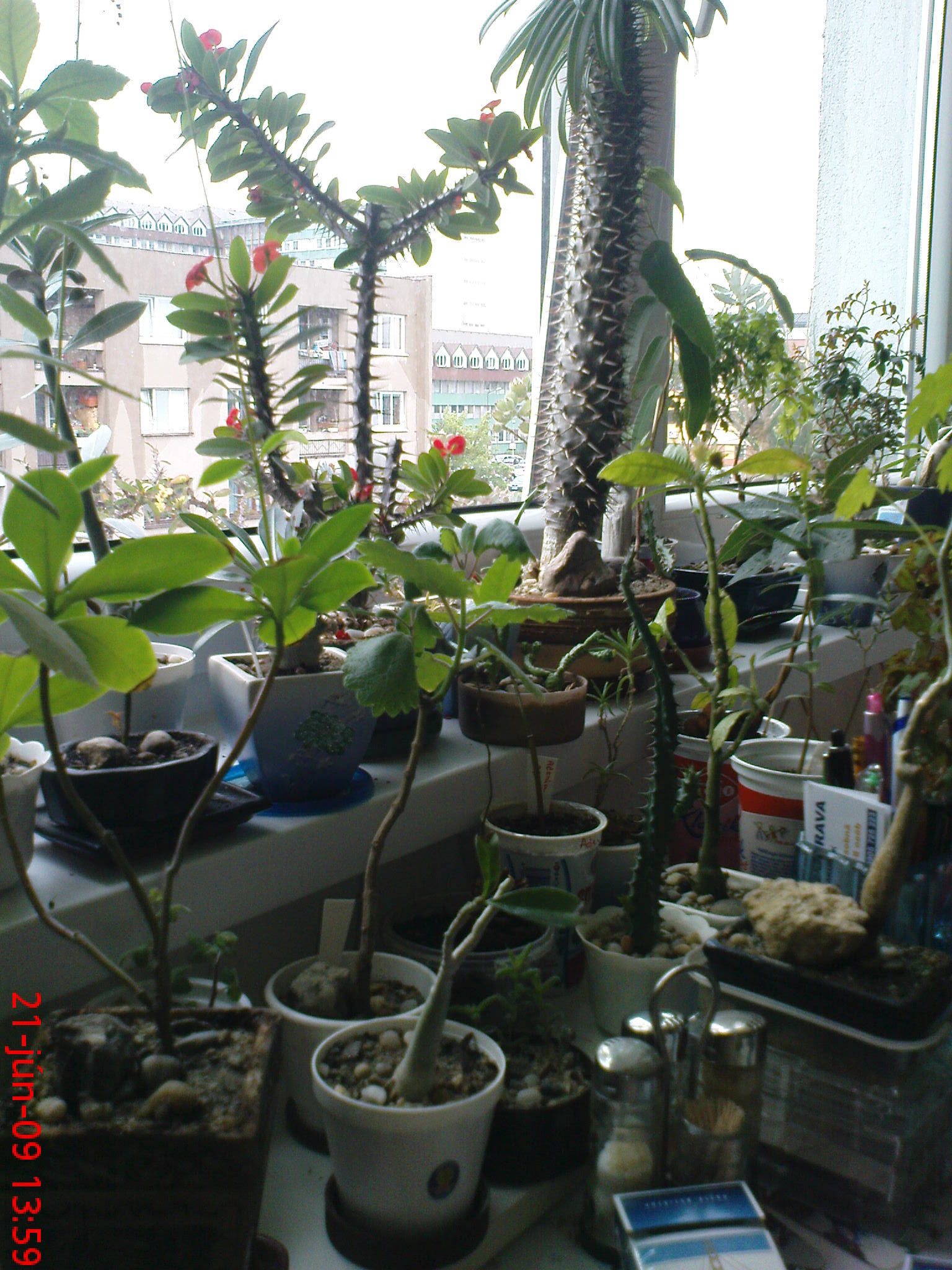 DSC00134.JPG