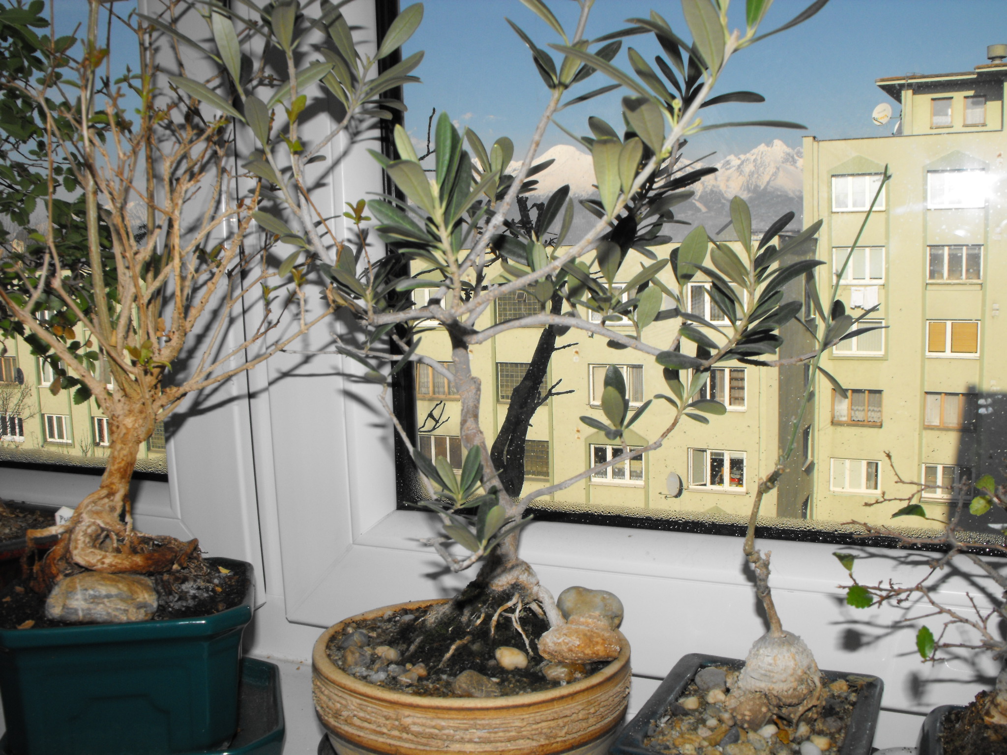 DSCF0932.JPG